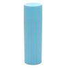 Portable Toothbrush Case Cover Toothpaste Holder Travel Accessories, Blue