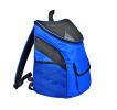 Pet Carrier Soft Sided Travel Bag for Small dogs & cats- Airline Approved, Blue #10